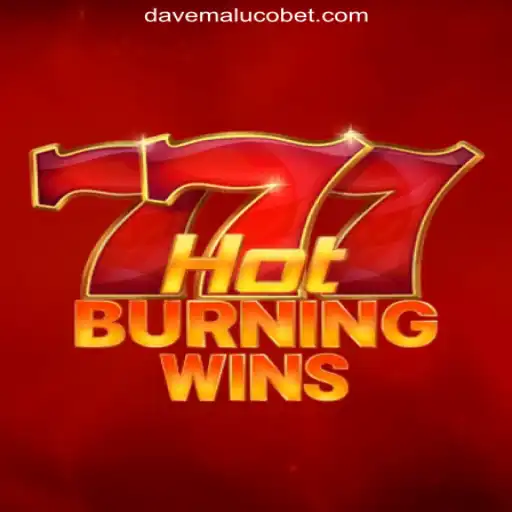 HotBurningWins - A Thrilling Slot Game Adventure